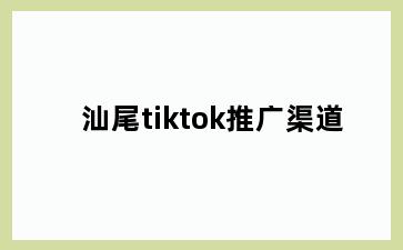 汕尾tiktok推广渠道
