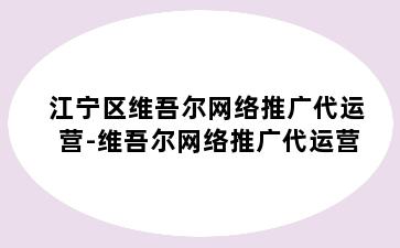 江宁区维吾尔网络推广代运营-维吾尔网络推广代运营