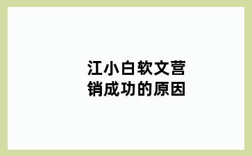 江小白软文营销成功的原因
