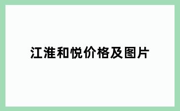 江淮和悦价格及图片