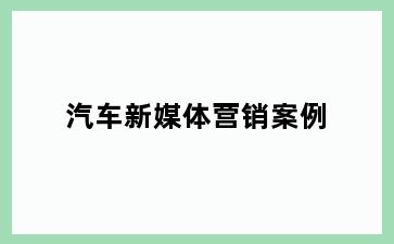 汽车新媒体营销案例