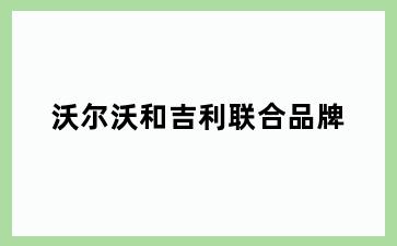 沃尔沃和吉利联合品牌