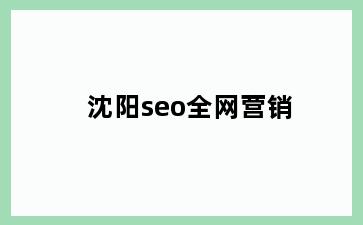 沈阳seo全网营销