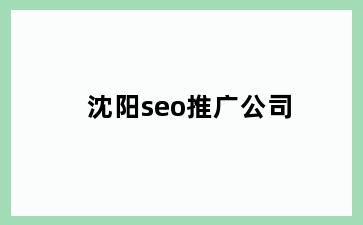 沈阳seo推广公司