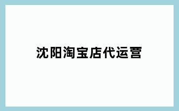 沈阳淘宝店代运营