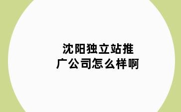沈阳独立站推广公司怎么样啊