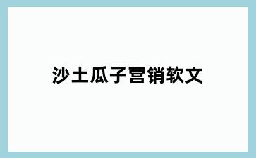 沙土瓜子营销软文
