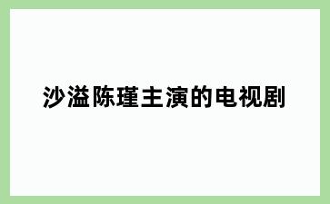 沙溢陈瑾主演的电视剧