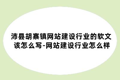沛县胡寨镇网站建设行业的软文该怎么写-网站建设行业怎么样