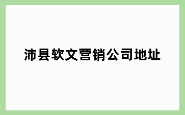 沛县软文营销公司地址