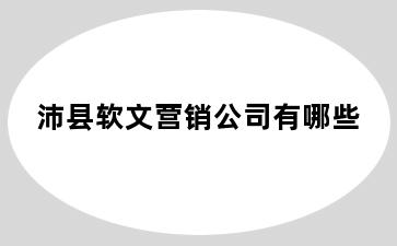 沛县软文营销公司有哪些