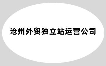 沧州外贸独立站运营公司