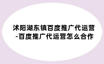 沭阳湖东镇百度推广代运营-百度推广代运营怎么合作