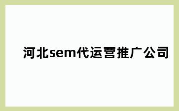 河北sem代运营推广公司