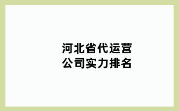 河北省代运营公司实力排名