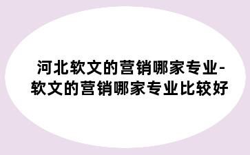 河北软文的营销哪家专业-软文的营销哪家专业比较好