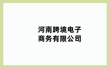 河南跨境电子商务有限公司
