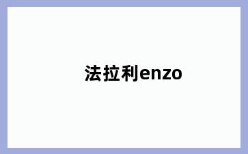 法拉利enzo