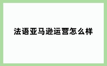 法语亚马逊运营怎么样
