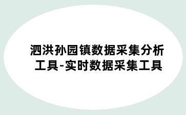 泗洪孙园镇数据采集分析工具-实时数据采集工具