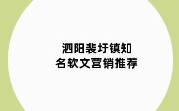 泗阳裴圩镇知名软文营销推荐