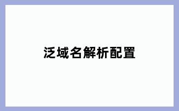 泛域名解析配置