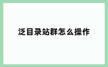泛目录站群怎么操作