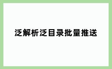 泛解析泛目录批量推送