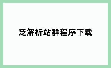 泛解析站群程序下载