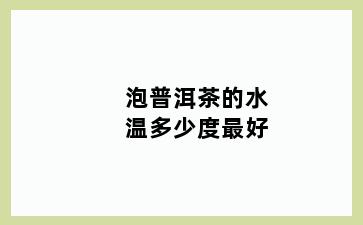 泡普洱茶的水温多少度最好