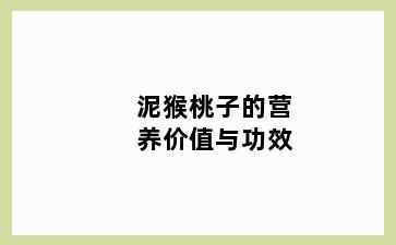 泥猴桃子的营养价值与功效
