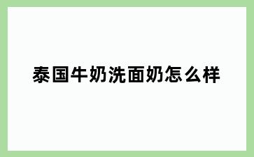 泰国牛奶洗面奶怎么样