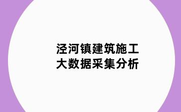 泾河镇建筑施工大数据采集分析