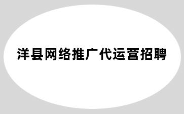 洋县网络推广代运营招聘
