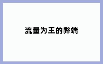 流量为王的弊端
