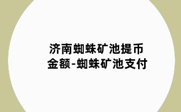济南蜘蛛矿池提币金额-蜘蛛矿池支付