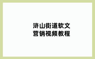 浒山街道软文营销视频教程
