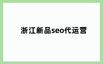 浙江新品seo代运营