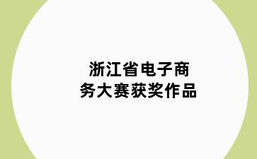 浙江省电子商务大赛获奖作品