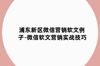浦东新区微信营销软文例子-微信软文营销实战技巧