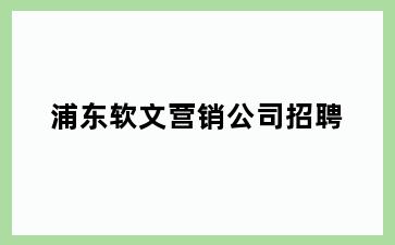 浦东软文营销公司招聘
