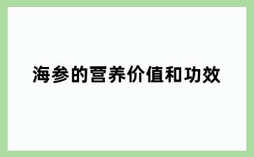 海参的营养价值和功效