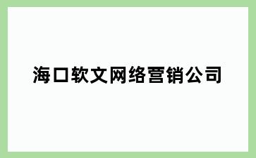 海口软文网络营销公司