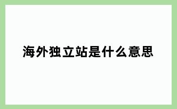 海外独立站是什么意思