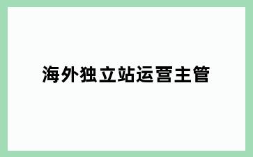 海外独立站运营主管