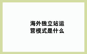 海外独立站运营模式是什么