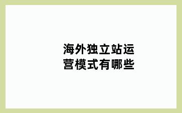 海外独立站运营模式有哪些