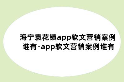 海宁袁花镇app软文营销案例谁有-app软文营销案例谁有