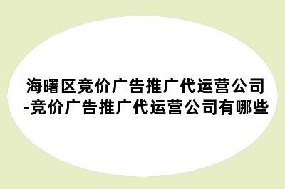 海曙区竞价广告推广代运营公司-竞价广告推广代运营公司有哪些