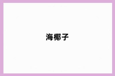 海椰子